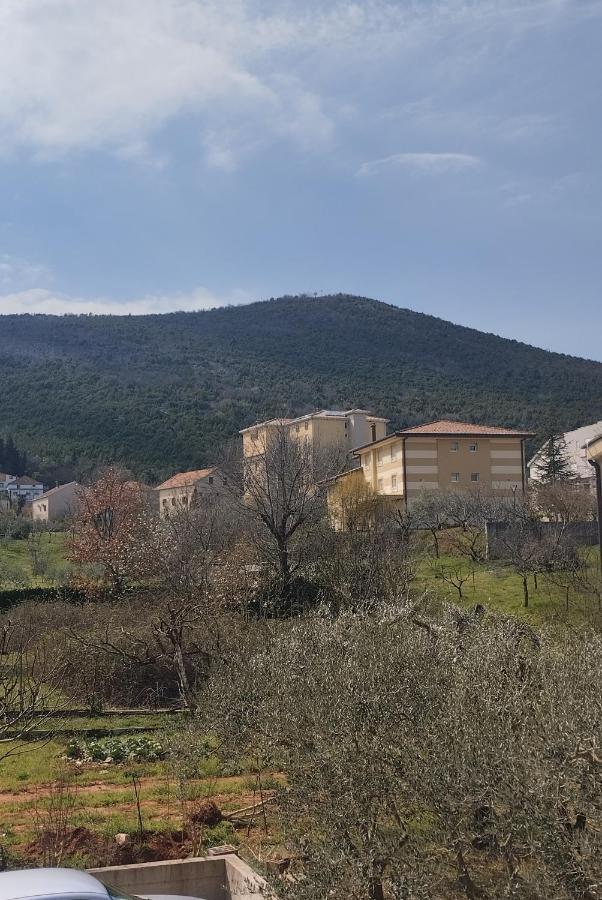 Pansion Danijel Hotel Medjugorje Bilik gambar