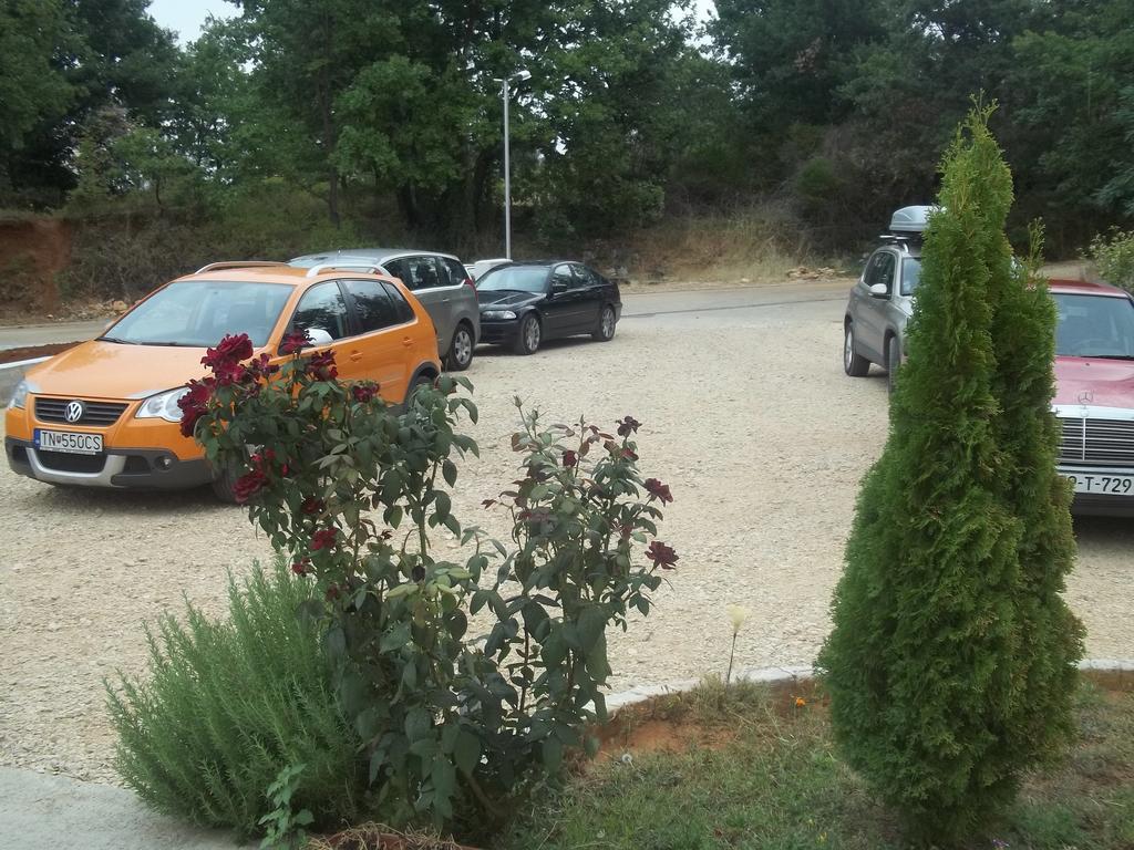 Pansion Danijel Hotel Medjugorje Luaran gambar